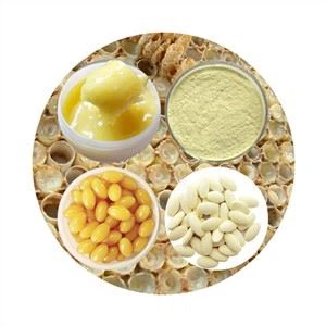 เฮลตี้แคร์รอยัลเจลลี่